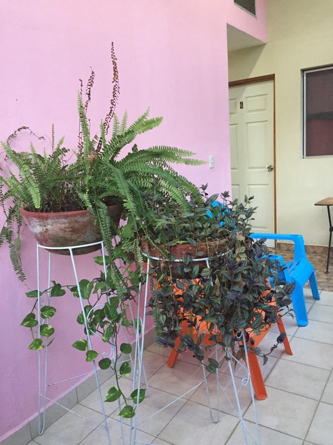 Casa Mokoron Apartman Managua Kültér fotó